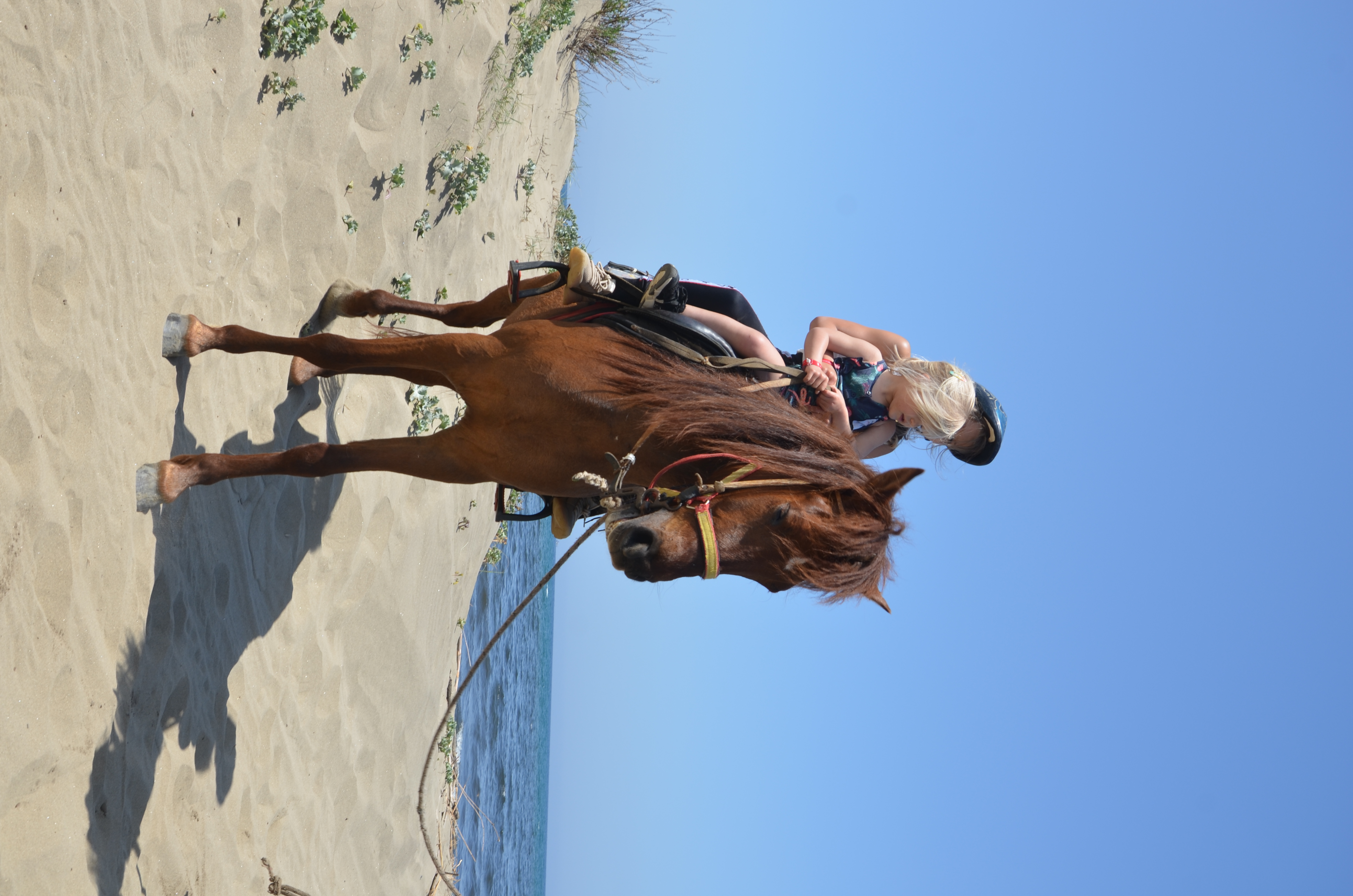 Horse Safari — Kuşadası cruise shore excursion